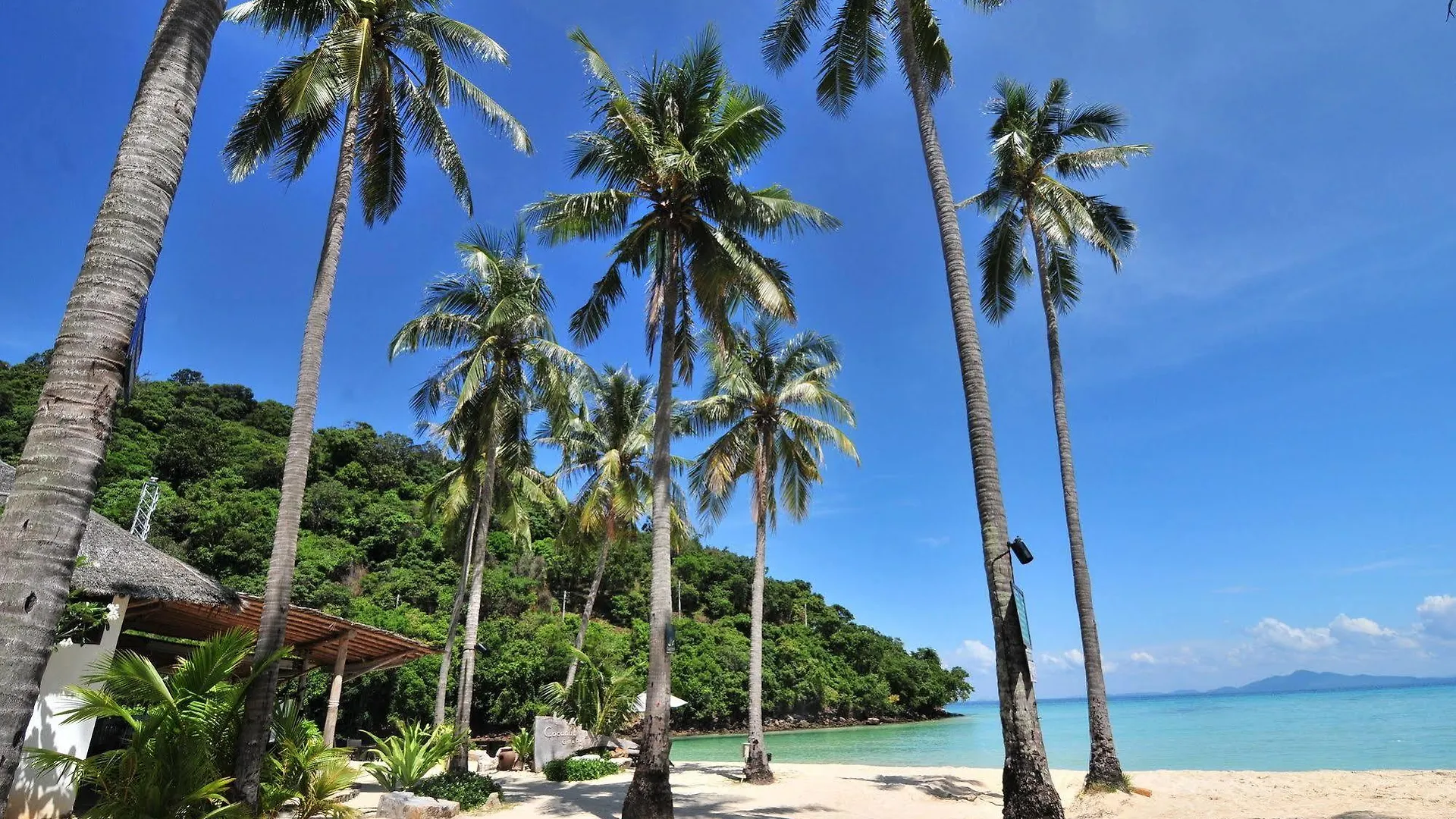 Phi Phi Ba Kao Bay Resort Thailand